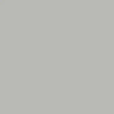Однотонные декоры ЛДСП Томлесдрев лдсп алюминий, 2750 x 1830 x 16 мм (югра плит)